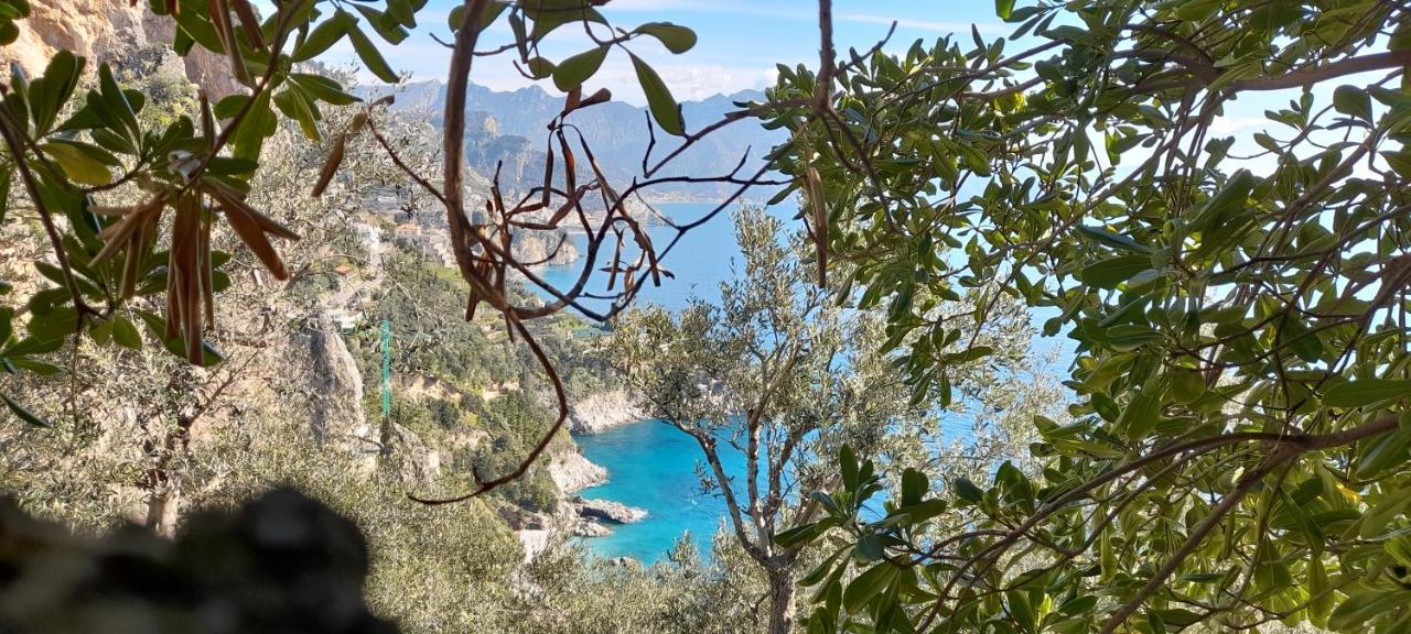 Villa Il Fienile Conca dei Marini Exterior foto