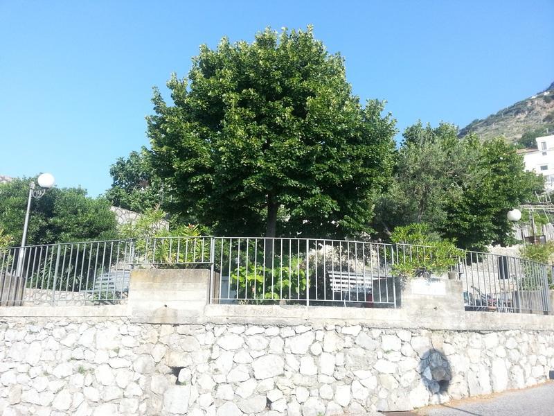 Villa Il Fienile Conca dei Marini Exterior foto